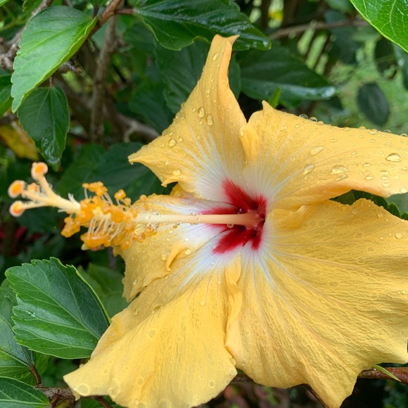 Meet your Posher, Jimena - Picture 4 of 5